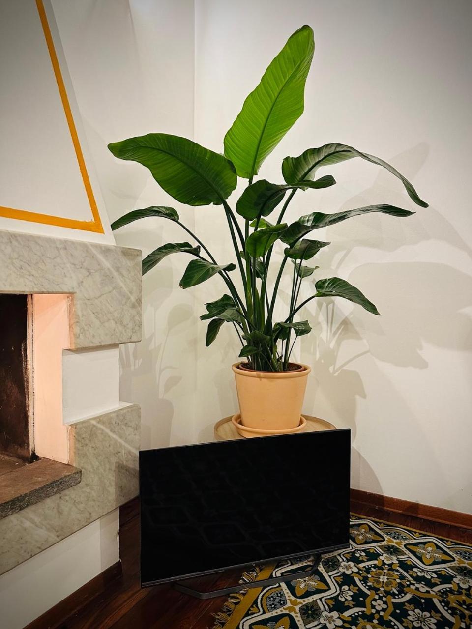 Apartament Wow House In Torino Zewnętrze zdjęcie